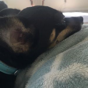 Meet your Posher, Laura